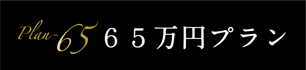 セットプラン 65万円プラン