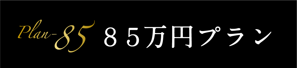 セットプラン 85万円プラン